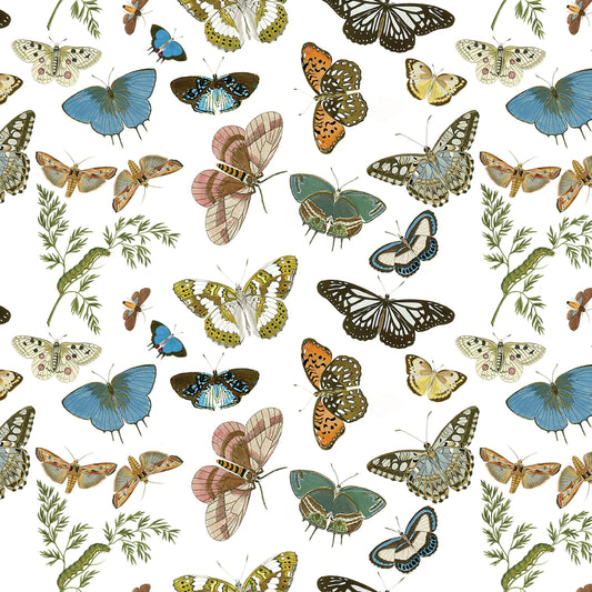 Butterflies and Moths Gift Wrap
