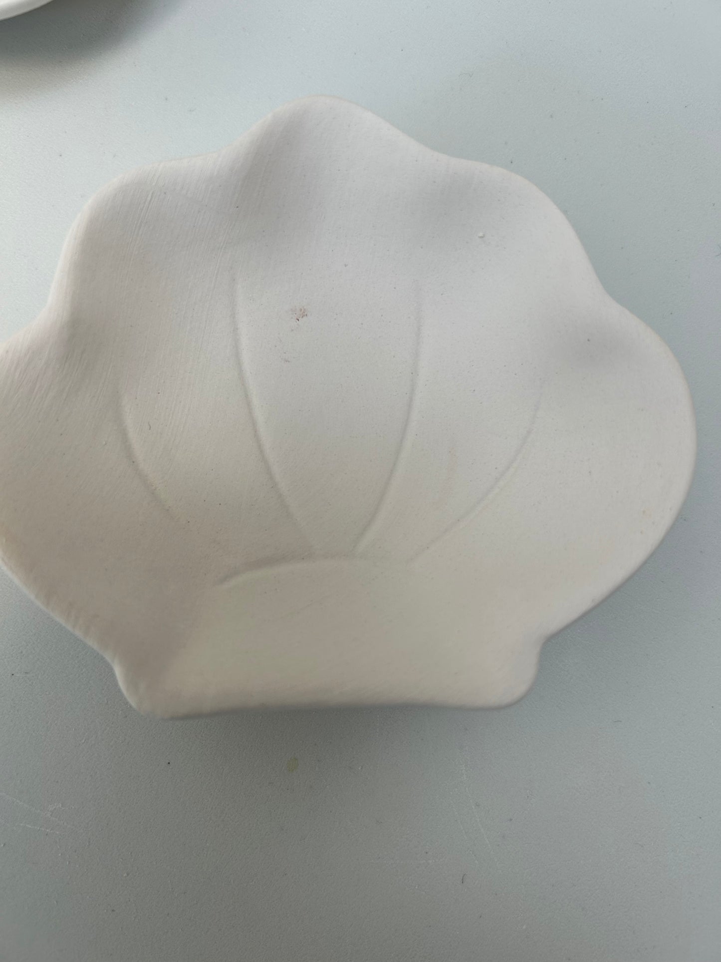 Sea Shell Mini Bowls Trinket Dish Unfinished Ceramics