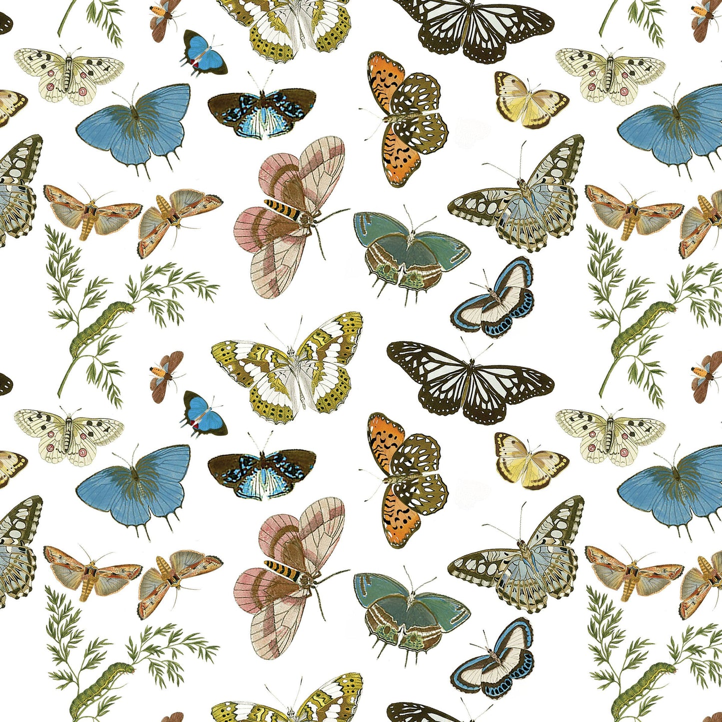 Butterflies and Moths Gift Wrap