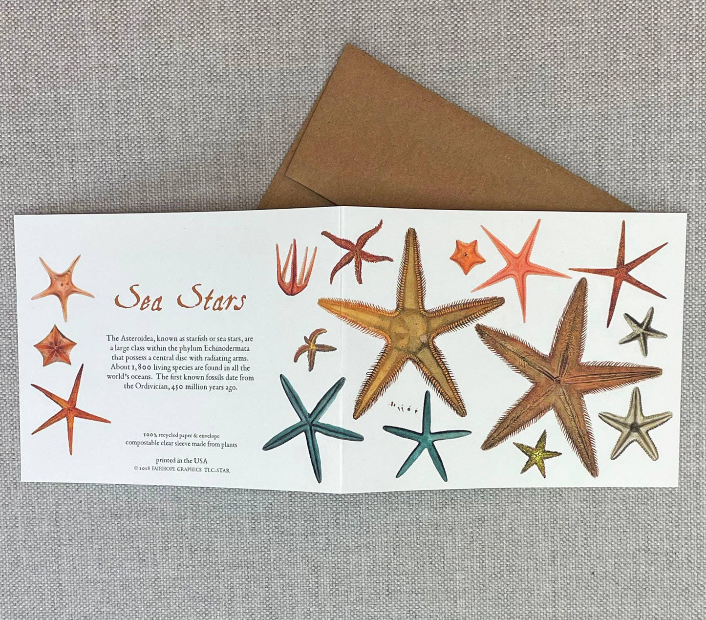 Sea Stars Card