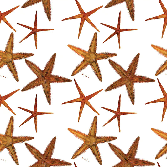 Sea Stars Gift Wrap