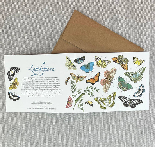Butterflies and Moths Card