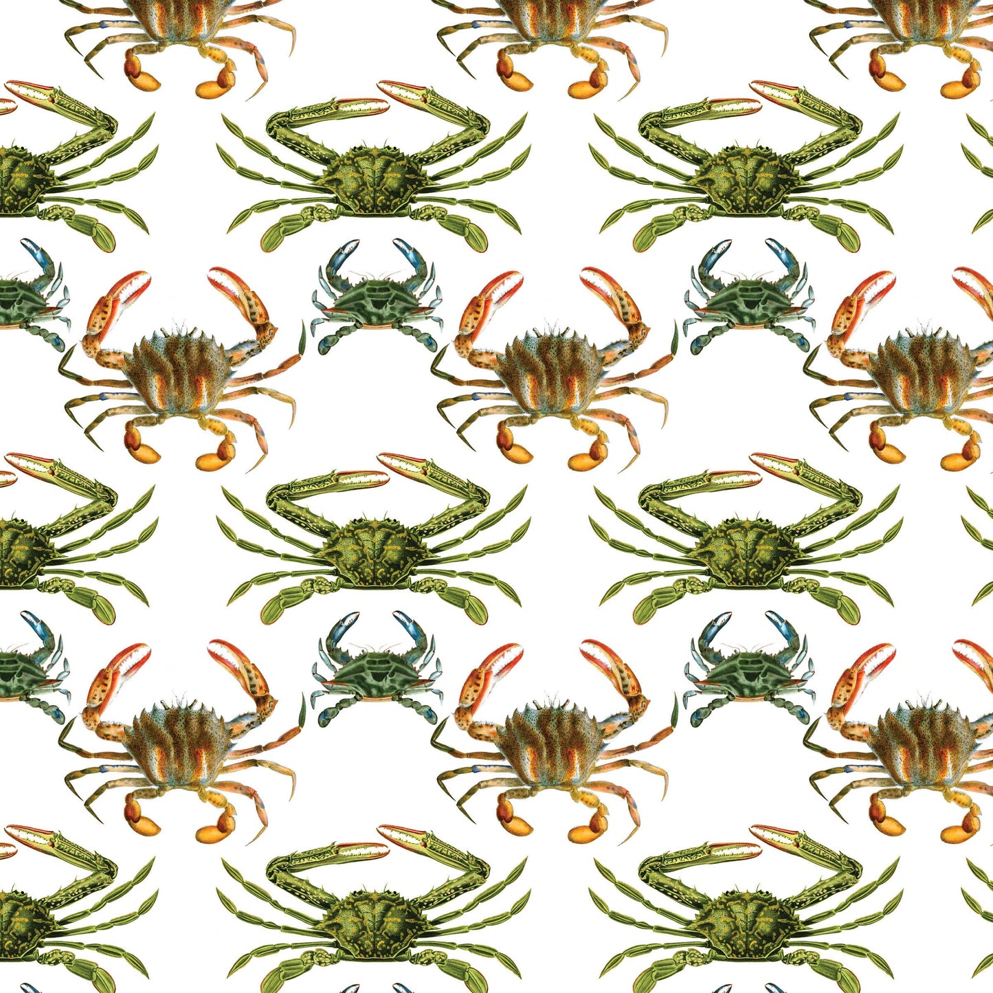 Crabs Gift Wrap